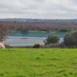Prima di arrivare all�ingresso del sito ci fermiamo a guardare lo specchio d�acqua da un prato di un vicino agriturismo, usato per il pascolo dei bovini. Sembra quasi di ammirare un quadro impressionista